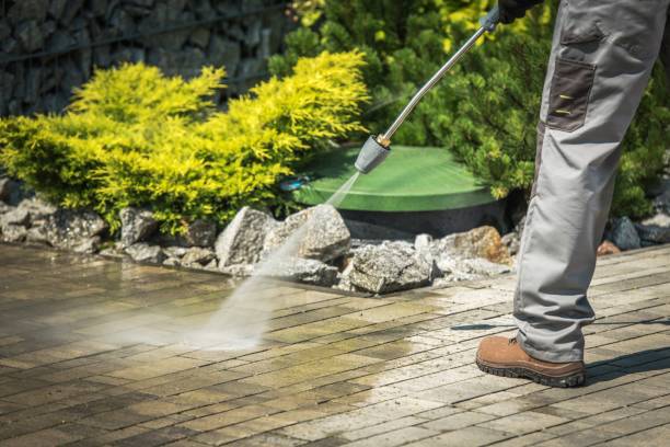 Best Winterizing Services  in Holden, MO