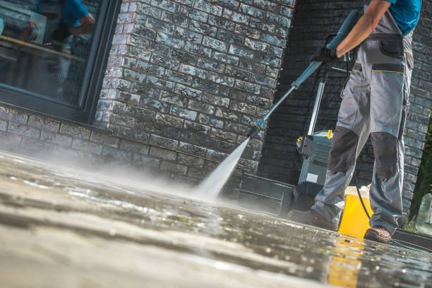 Best House Exterior Washing  in Holden, MO