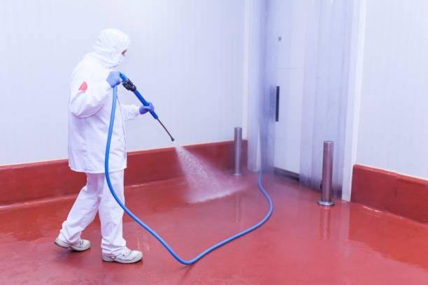 Best Playground Equipment Cleaning  in Holden, MO